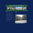 Bea Irik Consultant